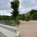 벨라루시 펫살롱 이미지