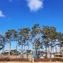 세종시민운동장 보조구장 이미지