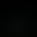 서울애견마트 이미지