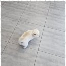 인제호텔 이미지