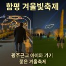 읍시가지 | 함평 겨울빛축제 가족 나들이 후기 (+주차 꿀팁) 광주근교 아이와 함께 가기 좋은 전남 겨울축제