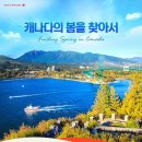 신평여행사