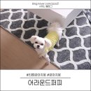 어라운드 퍼피 이미지