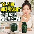 지구스피루리나 - 진주시 | 스피루리나 분말 정제 차이, 처음 먹는 사람은 뭐가 나을까? (3개월 섭취 후기)