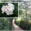 반포대로22길 100 이미지