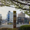 6코스 | 부산등산 산책코스 갈맷길6-2,6-3코스 후기