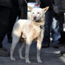 대길주유소 이미지