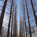 선산추어탕 | 청명지맥 1구간 청명산(淸明山 190) 2026. 01. 20.