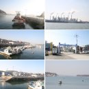 빙도마을 Daum카페