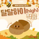 달달하이