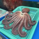 용관네상회 이미지