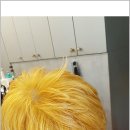 필헤어샵 이미지