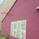 네비게이션 674 | 춘천 원조 감자빵 맛집 | 카페 감자밭 솔직 방문 후기 총정리