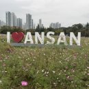 단원구청 화장실 이미지