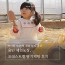 용인농장 | 아이랑 하루 꽉 채워 놀기 좋은 용인 체험농장, 포레스트벨 딸기체험 후기