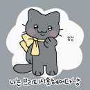 고야미 이미지