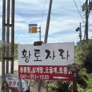 황토자라가든 이미지