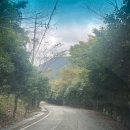 주작산자연휴양림 | [강진] 주작산자연휴양림 숲속의집 “노각나무실” 후기