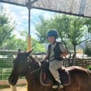 미사리 승마공원 이미지