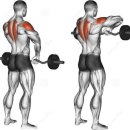 락 바디 짐 이미지