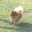 헬리우스 이미지