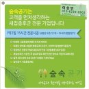 숲속공기 이미지