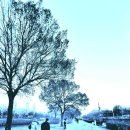 선유도 홀릭 이미지