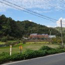 서구자원봉사센터 | 대전 동물보호센터 자원봉사 후기