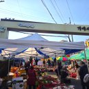 가야시장(아라길) | 경남 함안가볼만한곳 함안5일장 가야전통시장 주차정보 꿀팁정보