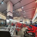 에스휘트니스 이미지