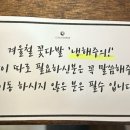 루나즈플라워 이미지