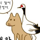 일부상신 이미지