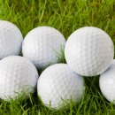 그린샷스크린골프연습장 이미지