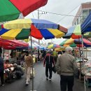 반야월종합시장 | (대구 동구) 반야월시장 장날_5일장(1일,6일)