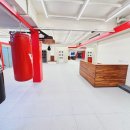 더블유복싱 이미지