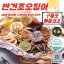 양포어장 이미지