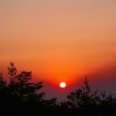 포유콘도 이미지