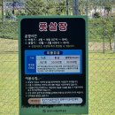 가산공원 풋살장 이미지