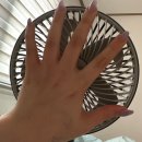 (주)지투엘 | 6월 혜리의 소비일기 ✍️