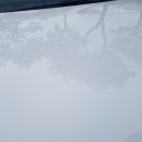 스팀출장세차