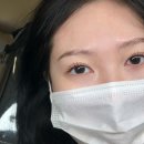 디어마이펫 | 경기 고양 일산 속눈썹 디어뷰티 속눈썹 펌 후기