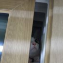 들어오시개 이미지