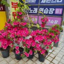 연예인 노래연습장 이미지