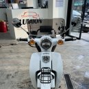 슈퍼워시 디테일링 | [루미온 디테일 랩] 중고차 구입 후 필수 코스! 혼다 슈퍼커브 110 화이트 바이크 세차 후기