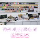 성남 단대오거리 네일, 패디 잘하는 곳 네일바효 여름맞이 패디 후기