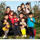 성구농장 이미지