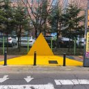 옐로카펫 이미지