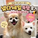 앵두네 - 강릉시 대송길 311-13 | N+스토어 넾다세일 후기｜강아지용품 구매내역 & 혜택 총정리 (6/22~7/5)