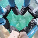 CU후포중앙점 | 10월 경북 울진 우정 여행 코스 가볼만한곳 2박3일 관광 비용 숙소 일정 ft.안동