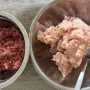 브로콜리 펫푸드 이미지